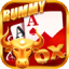 rummy pocket pro